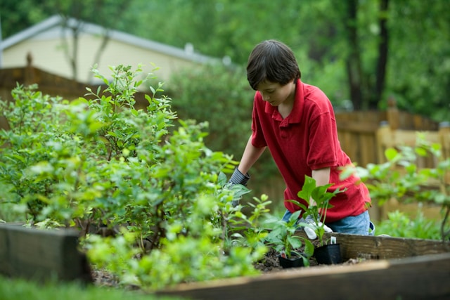 Biologisch mest gebruiken voor de tuin